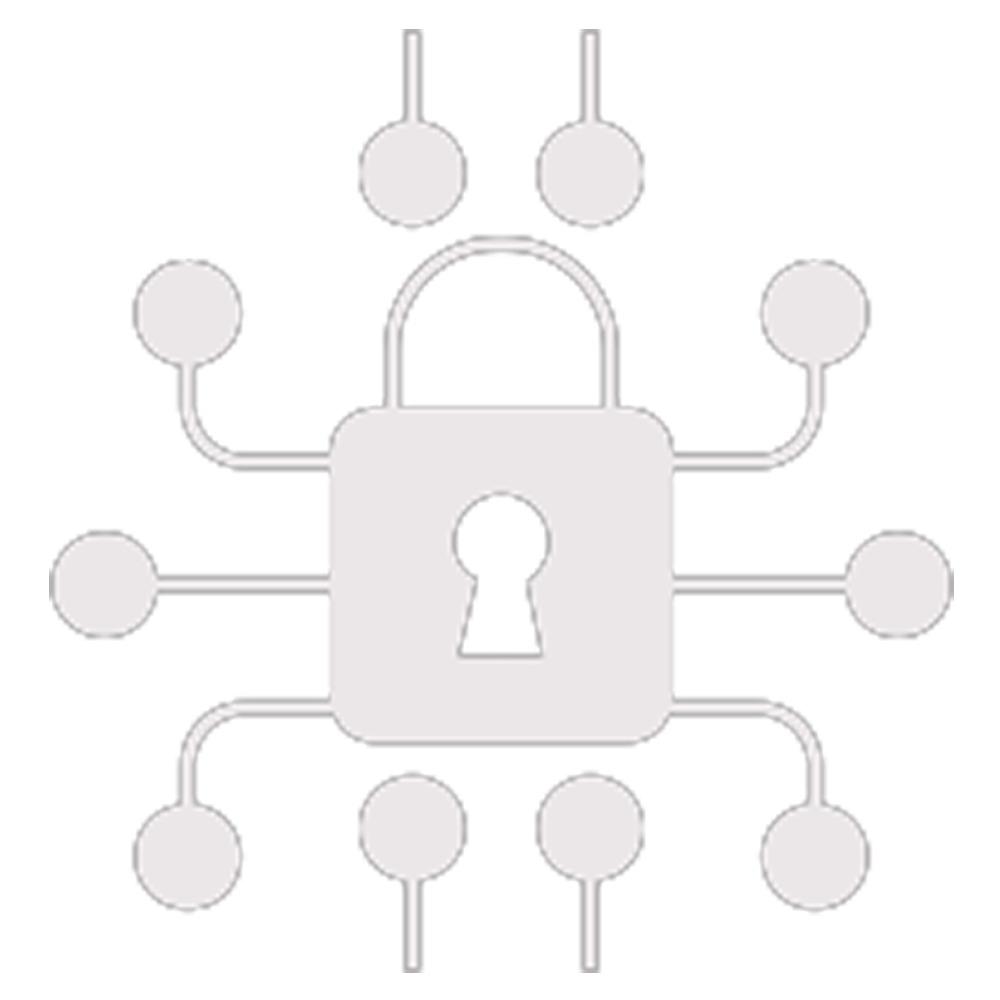 Network-security-icon